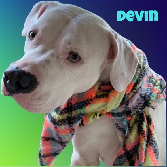 🧜‍♀️ - Picture 5 of 13